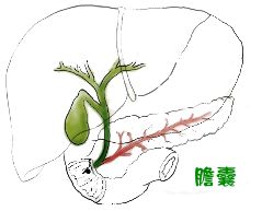 琉璃工坊雙面刺繡藝術(shù)屏風(fēng)，網(wǎng)格繡，蘇繡隔斷，雙面繡隔斷